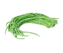 Kacang Panjang