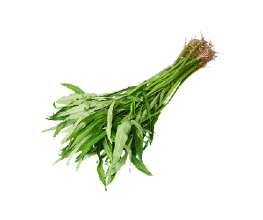 Kangkung