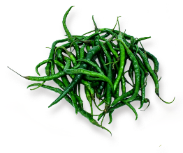 Supplier Grosir Cabe Jogja