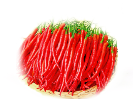 Harga Cabai TM Merah Yogyakarta
