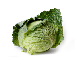 Harga Sayuran Kobis Jogja