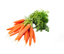 Grosir Sayuran Wortel Jogja