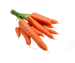 Supplier Wortel Yogyakarta