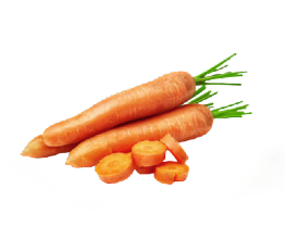 Harga Wortel Yogyakarta